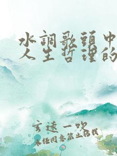 水调歌头中阐述人生哲理的句子是