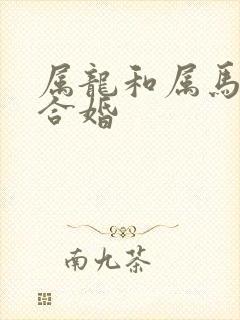 属龙和属马合不合婚