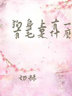 狗身上有一块没有毛是什么原因