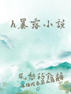 h暴露小说