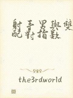 射手男与双子女配对指数