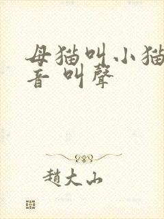 母猫叫小猫的声音 叫声
