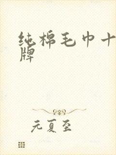 纯棉毛巾十大名牌