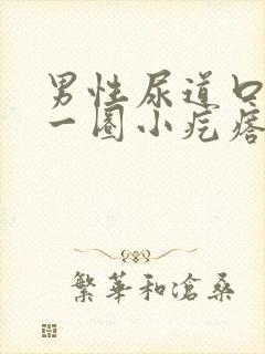 男性尿道口长了一圈小疙瘩