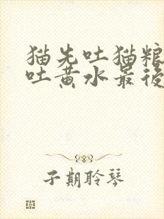 猫先吐猫粮然后吐黄水最后吐白沫