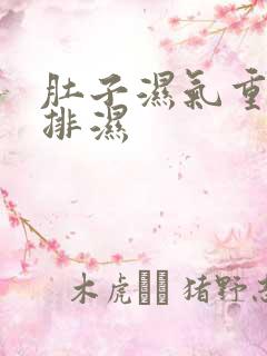 肚子湿气重怎么排湿