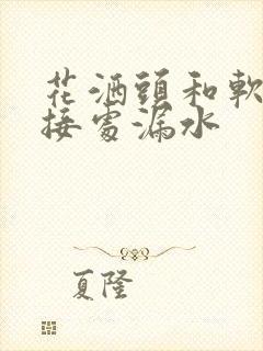 花洒头和软管连接处漏水