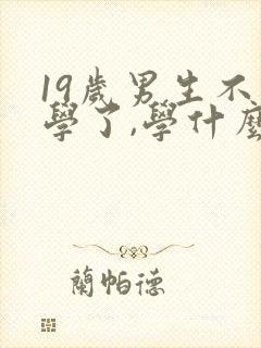 19岁男生不上学了,学什么技术