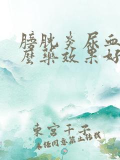 膀胱炎尿血吃什么药效果好