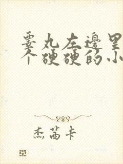 睾丸左边里面有个硬硬的小疙瘩