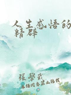 人生感悟的句子 精辟