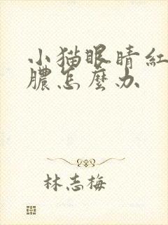 小猫眼睛红肿化脓怎么办