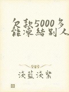欠款5000多能冻结别人财产吗