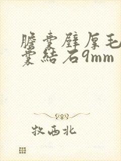 胆囊壁厚毛糙胆囊结石9mm