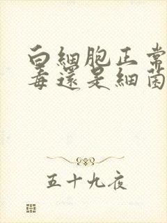 白细胞正常是病毒还是细菌感染