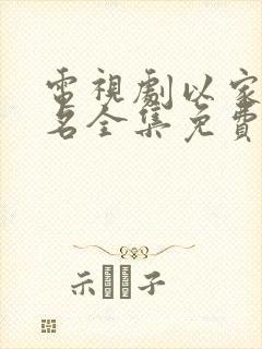 电视剧以家人之名全集免费观看