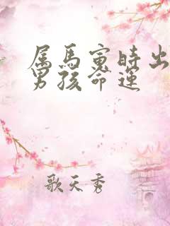 属马寅时出生的男孩命运