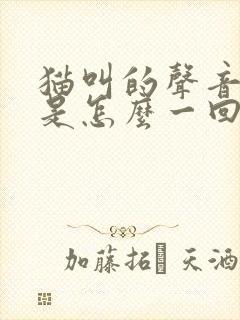 猫叫的声音哑了是怎么一回事