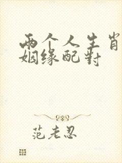 两个人生肖婚配姻缘配对