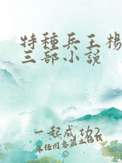 特种兵王杨洛第三部小说