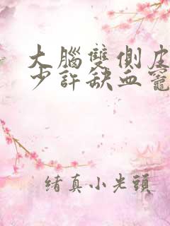 大脑双侧皮层下少许缺血灶