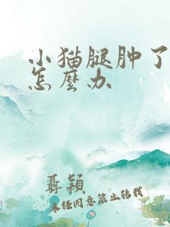 小猫腿肿了流脓怎么办