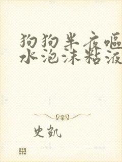 狗狗半夜呕吐黄水泡沫粘液怎么办