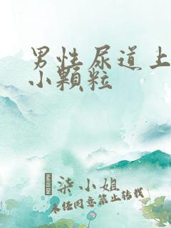 男性尿道上长了小颗粒