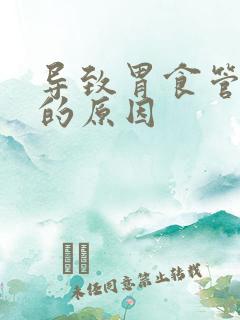 导致胃食管反流的原因