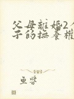 父母离婚2个孩子的抚养权怎么判定