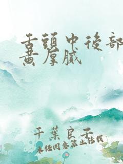 舌头中后部舌苔黄厚腻