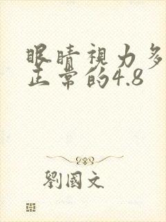 眼睛视力多少是正常的4.8
