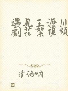 遇见王沥川电视剧花絮视频