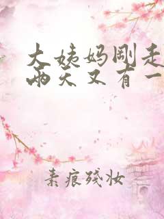 大姨妈刚走过了两天又有一点点血