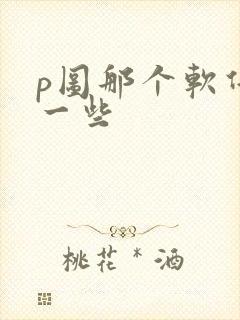 p图那个软件好一些