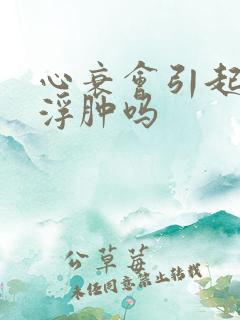 心衰会引起下肢浮肿吗