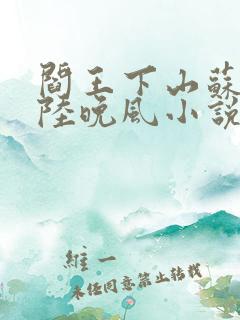 阎王下山苏文,陆晚风小说