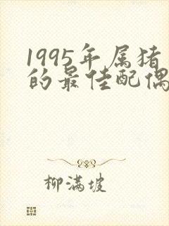 1995年属猪的最佳配偶属相