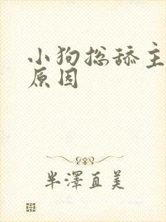 小狗总舔主人的原因