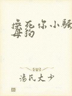 操死你小骚货小母狗