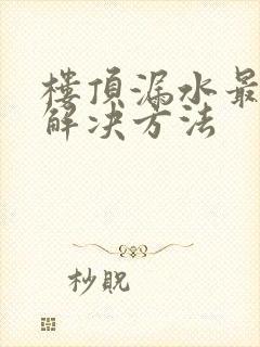 楼顶漏水最好的解决方法