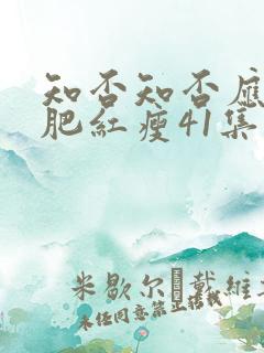 知否知否应是绿肥红瘦41集免费观看