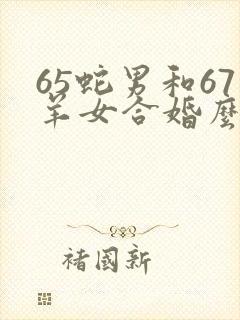 65蛇男和67羊女合婚么