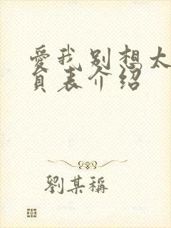 爱我别想太多演员表介绍