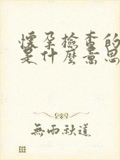 怀孕检查的nt是什么意思