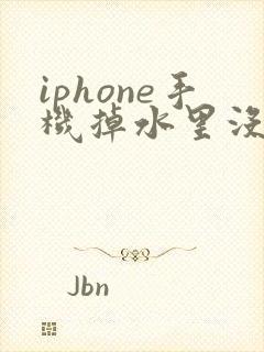 iphone手机掉水里没声音了怎么办