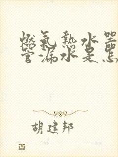 燃气热水器排气管漏水是怎么回事