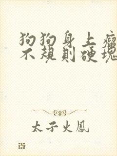 狗狗身上瘤子是不规则硬块