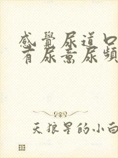 感觉尿道口老是有尿意尿频