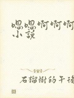 嗯嗯啊啊啊啊的小说